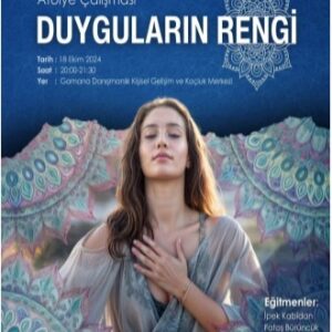 Duyguların Rengi